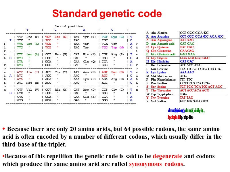 Standard genetic code • Because there are only 20 amino acids, but 64 possible